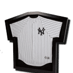 Jersey Case Baseball