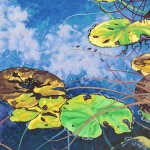 Dominik Modlinski Cloud Catcher 50x28