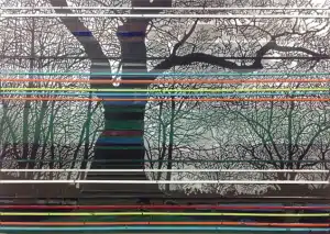 Dave Hind Savannah Sequence 42x60