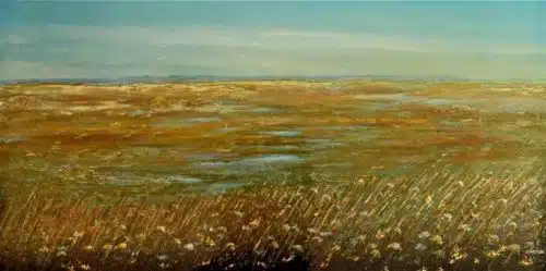 Ed Ambros Vista 24x48