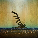 Ed Ambros Wind Blown on the Lake 36x36