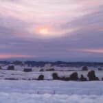 Norman Brown Mild Morning 12x24