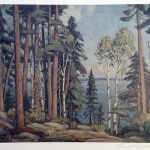 Frank Panabaker Red Pines of Temagami