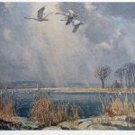 Frank Panabaker Turkey Point - Swans