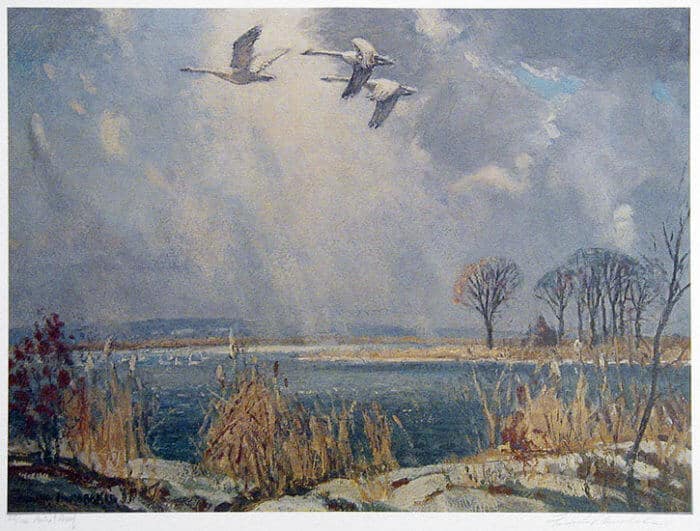 Frank Panabaker Turkey Point