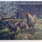 Frank Panabaker What's This