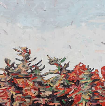 David Grieve Autumn Tops 40x40