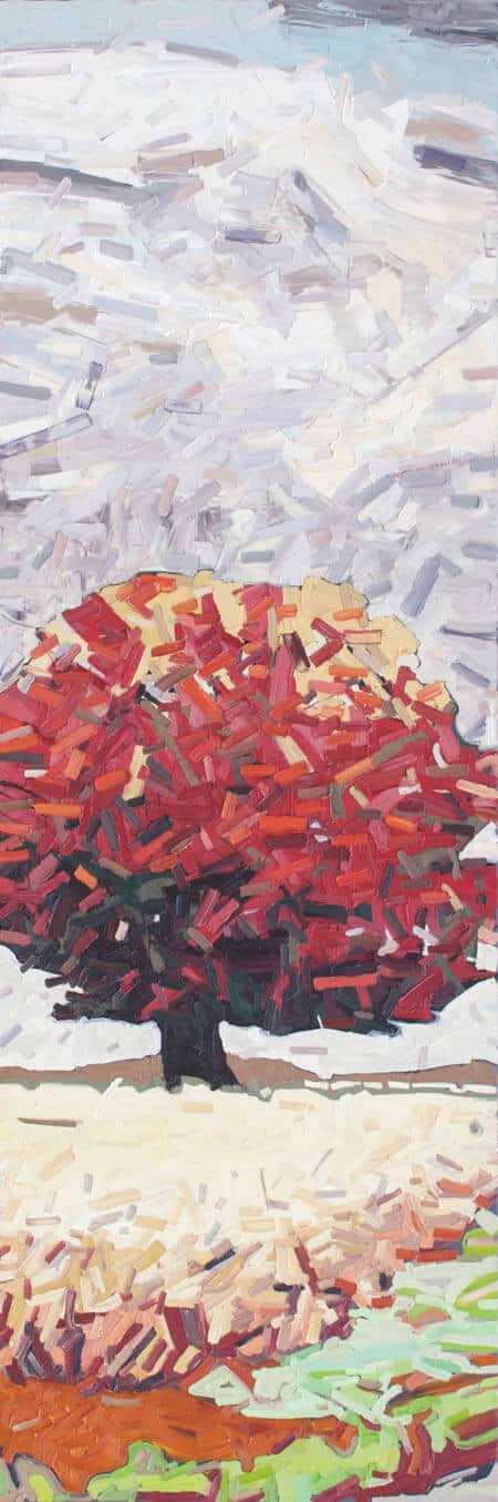 David Grieve Back to Roots 2 72x24