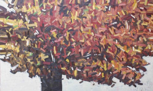 David Grieve Big Red 17 36X60