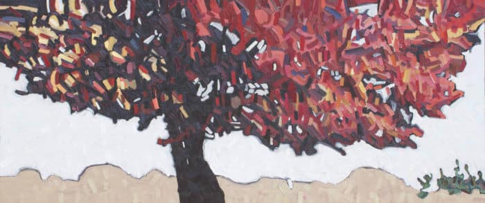 David Grieve Big Red 20 30X72