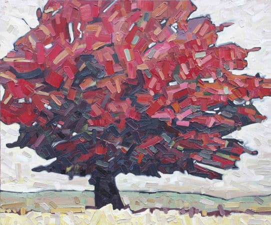 David Grieve Bounce 7 30x36