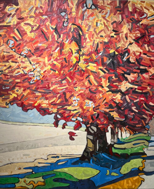 David Grieve Bunchy 6 60x50