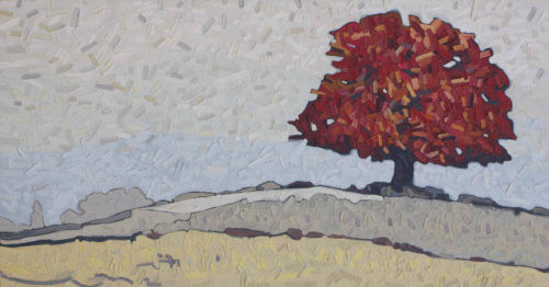 David Grieve Hope 11 30x60