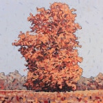 David Grieve Majestic Tree 48x48