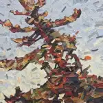 David Grieve Pine Portrait 7 36x30