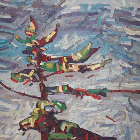 David Grieve Pine Portrait 8 30x30