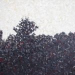 David Grieve Sunset Tree Tops 1 48x48