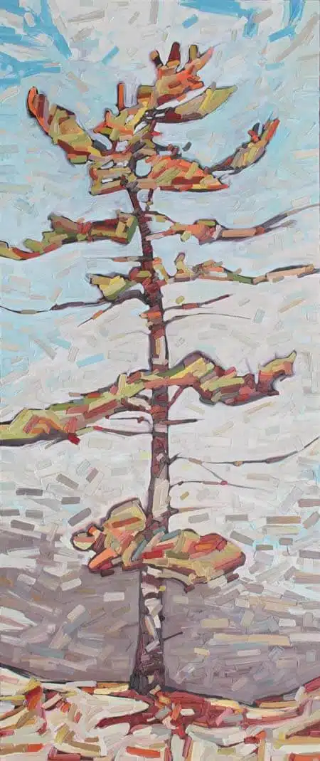 David Grieve Tall Pine 3 72x30