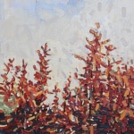 David Grieve Tops 2 36x30