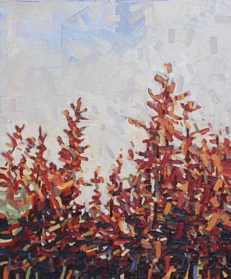 David Grieve Tops 2 36x30