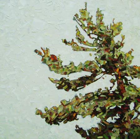 David Grieve Tree Portrait 42X42