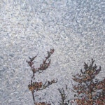 David Grieve Tree Tops 12 48X48