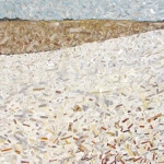 David Grieve Winter Field 6 48X48