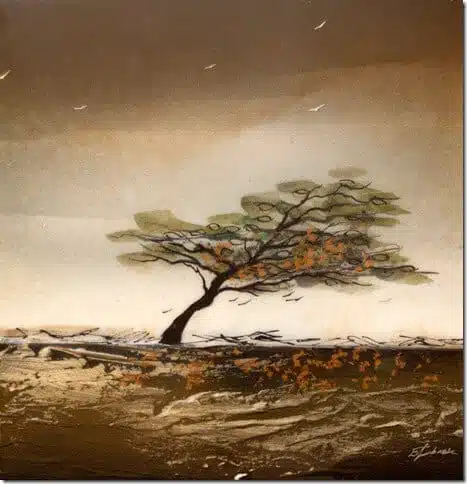 Ed Ambros Wind Blown 12x12