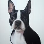 Gretta Gibney Boston Terrier 48x40
