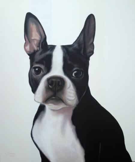Gretta Gibney Boston Terrier 48x40