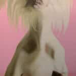 Gretta Gibney Bubbles 96x48