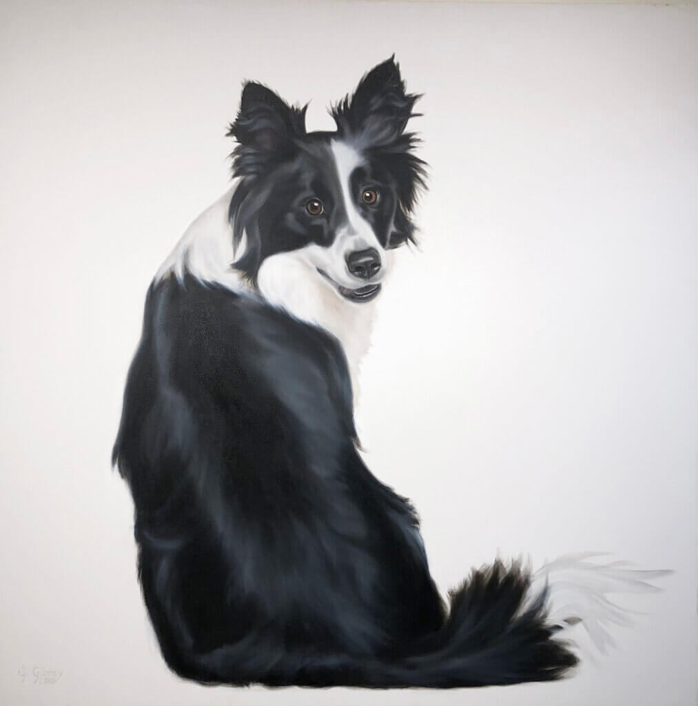 Charmer Border Collie – original oil on canvas by Gretta Gibney, 48″ × 48″