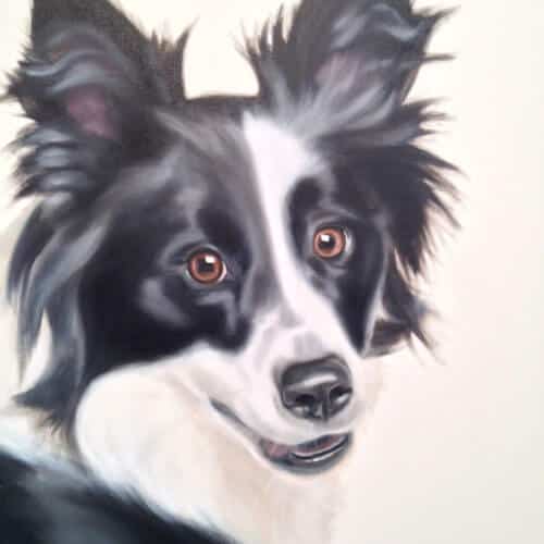 Gretta Gibney Charmer Border Collie 48x48 Detail