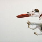Gretta Gibney Jumpin Jack 30x60 SOLD
