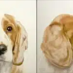 Mug Shots English Cocker Spaniel Pair – original oil on canvas by Gretta Gibney, 24″ × 48″
