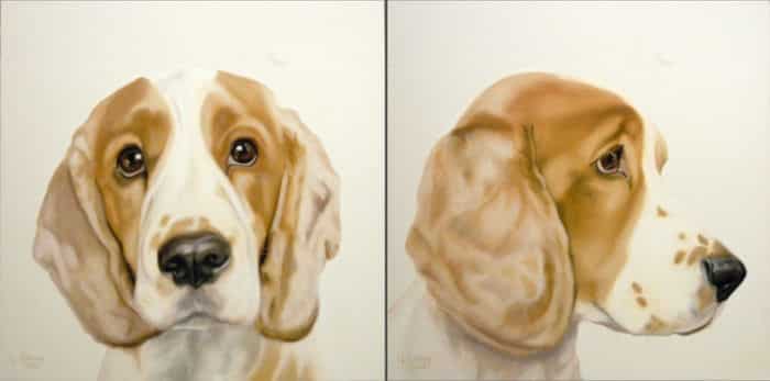 Gretta Gibney Mug Shots English Cocker Spaniel Pair 24x24