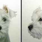 Gretta Gibney Mug Shots Shots Terrier Pair 24x24