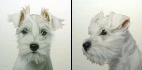 Mug Shots Shots Terrier Pair – original oil on canvas by Gretta Gibney, 24″ × 48″