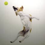 Gretta Gibney Terrier Receiver 48x48