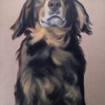 Gretta Gibney Wise Beyond His Ears 40x30