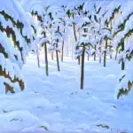 Norman Brown Light Through Forest 30x30