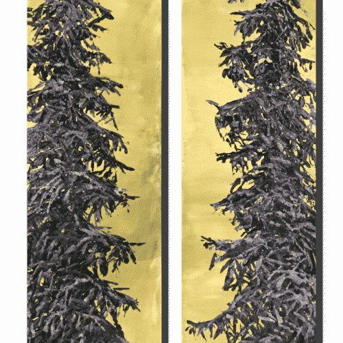 Maya Eventov Stretching Coniferous Pair