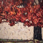 David Grieve Big Red 8 36X60