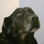 Gretta Gibney In the Ruff-Hopeful Giclee 30x30