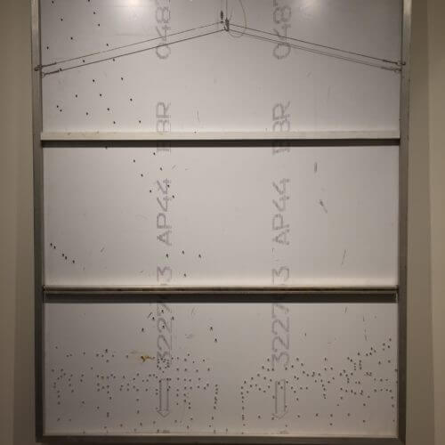 Dave Hind First Cut 60x48 Back