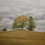 Peter Fisher The Sitting Tree 32x40