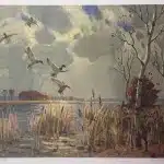 Frank Panabaker Dropping In