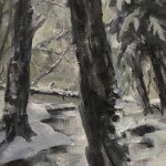 Sam Paonessa Forest Tonal Sketch 6X12