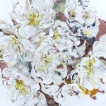 Elena Henderson Dancing With The Angels series 12 48x48