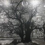 Dave Hind Parker Ranch 4 48×68